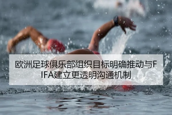 欧洲足球俱乐部组织目标明确推动与FIFA建立更透明沟通机制 | WMsports
